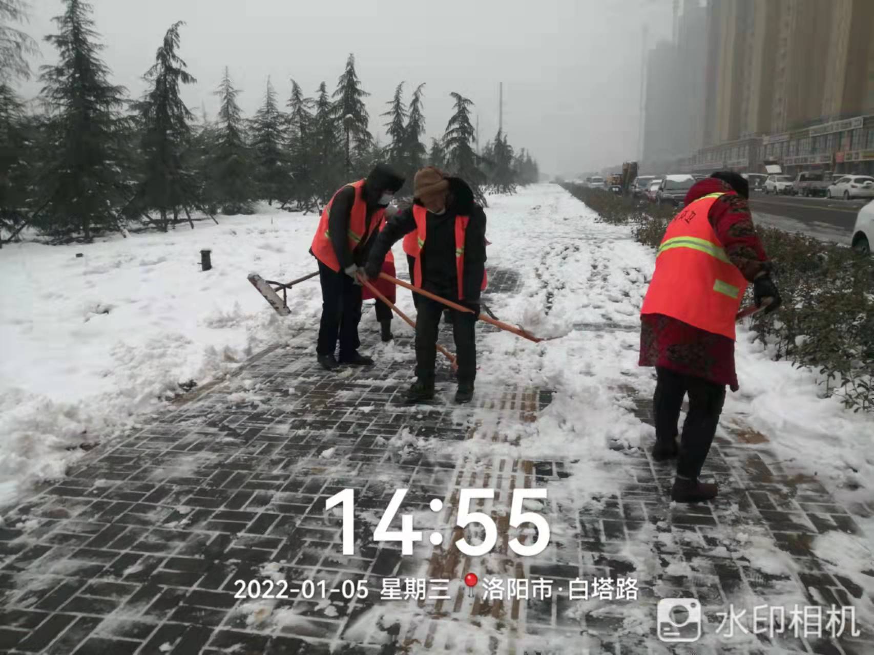 1641438308619954.jpg 1641438308619954.jpg