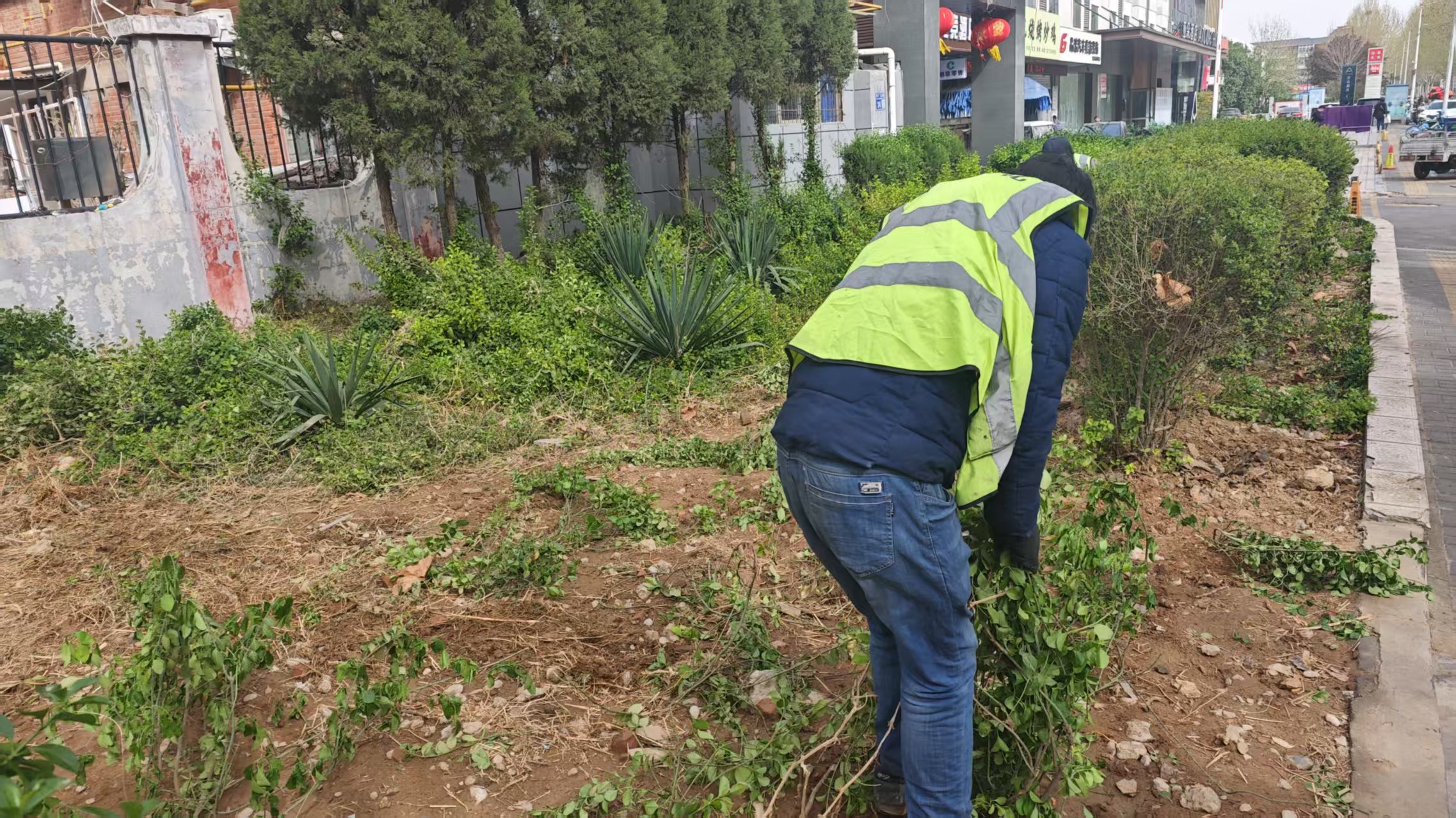 1743409073218185.jpg 微信圖片_20250331155349.jpg