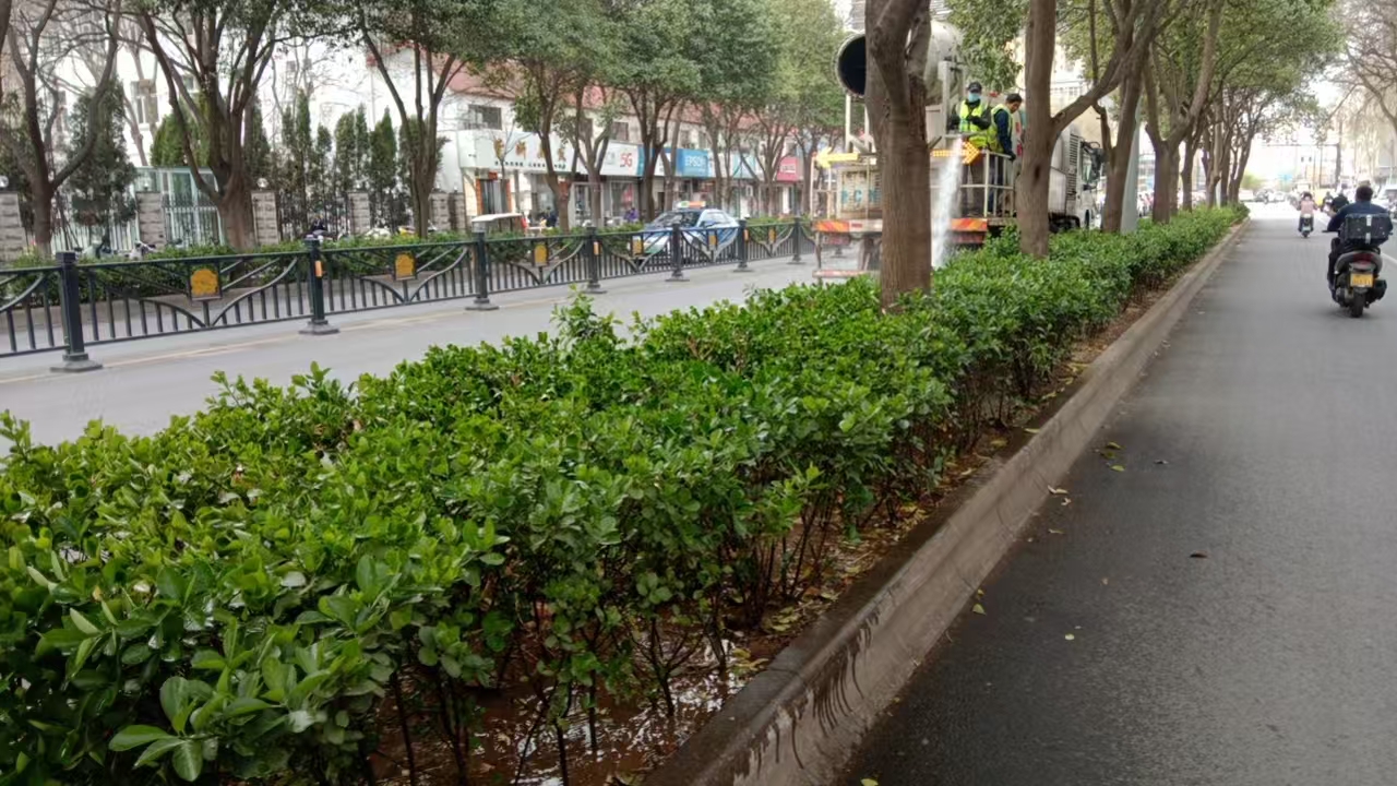 1743409083582903.jpg 微信圖片_20250331155400.jpg