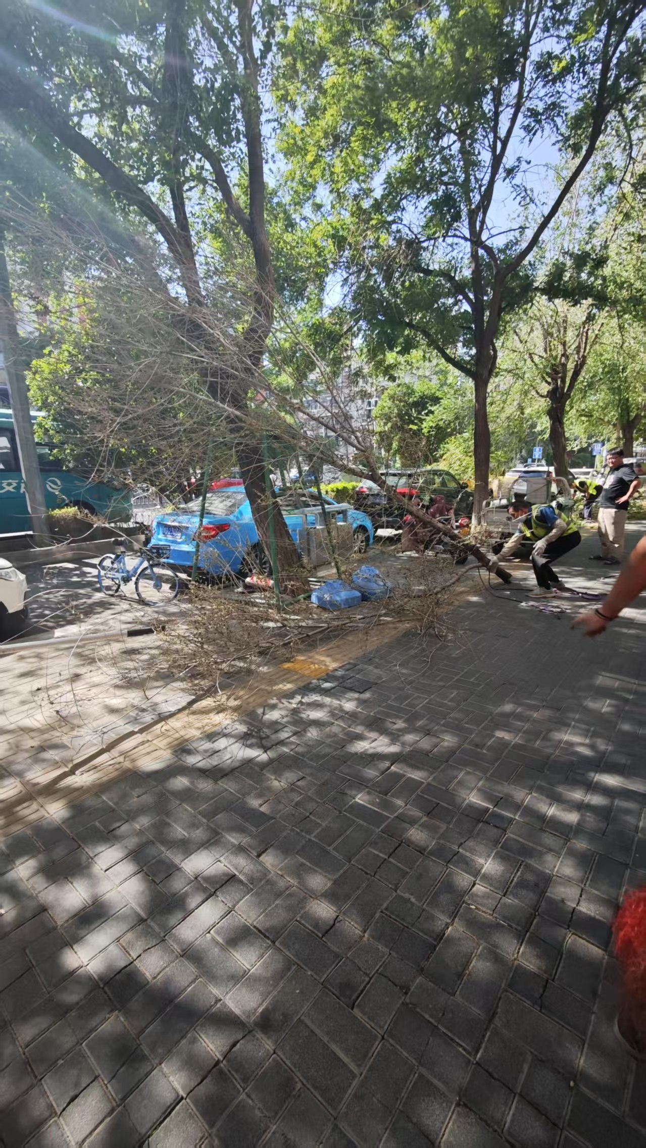 1746943765637543.jpg 微信圖片_20250511140834.jpg